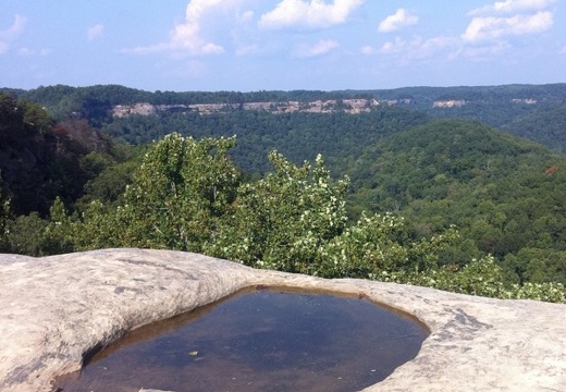 Auxier Ridge, a year after the fire